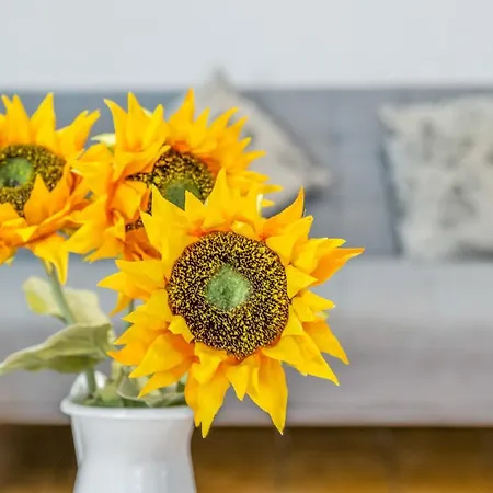 דירה Sunflower Siroco